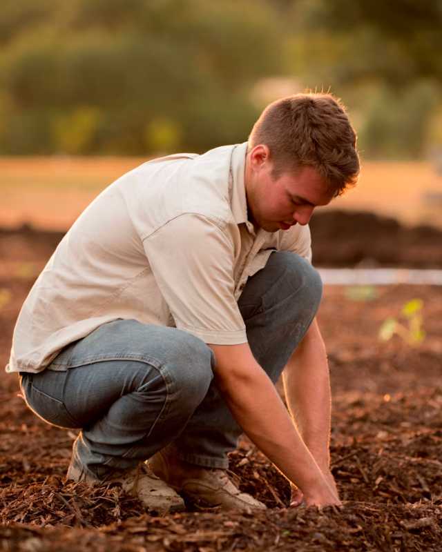 Guy working in field