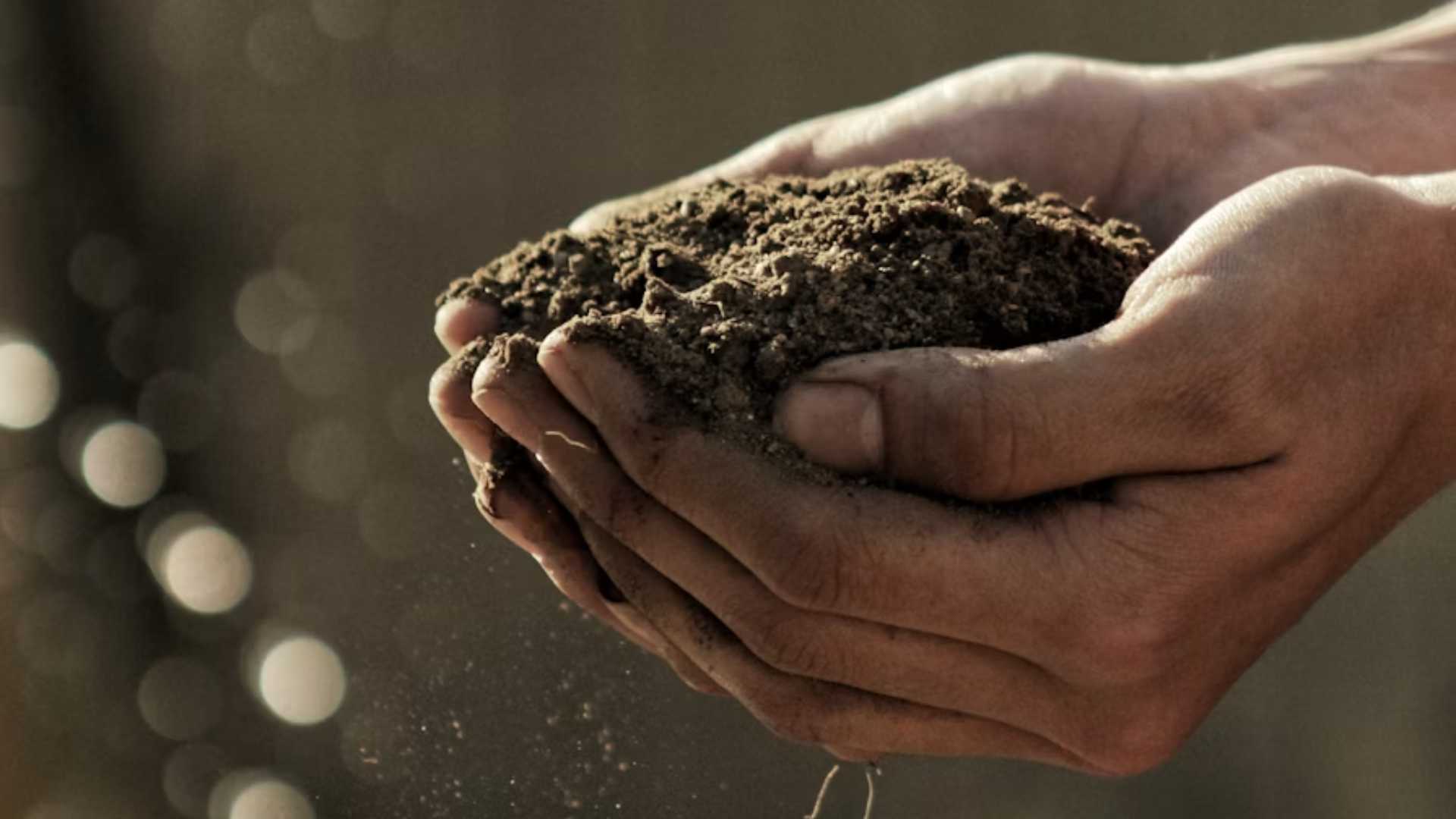 Hands with Soil
