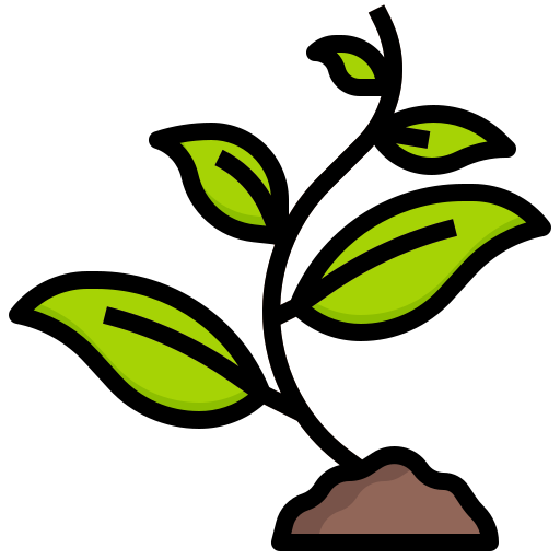 seedling