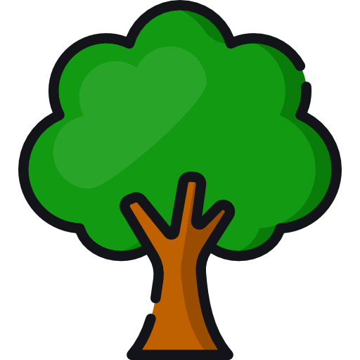 seedling