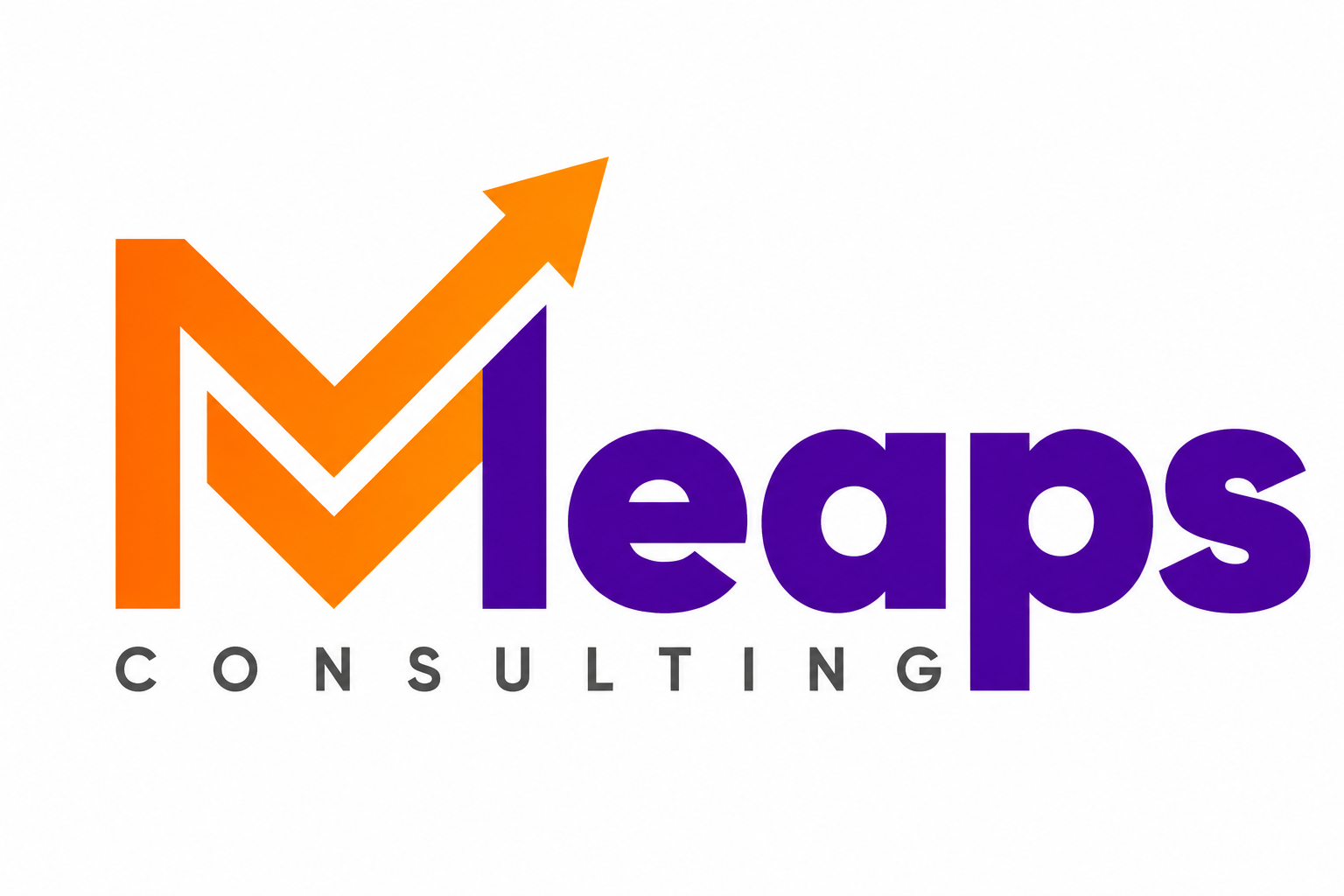 MLeaps Consulting
